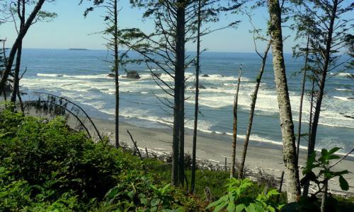 Ruby Beach Olympic Park