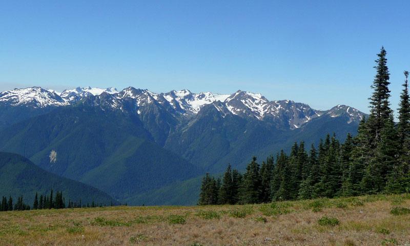 Hurricane Ridge in Washington's Olympic National Park