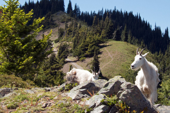 Off The Beaten Path — Bozeman, MT