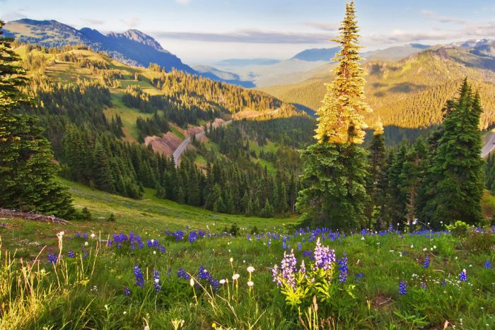 Off The Beaten Path — Olympic National Park, WA