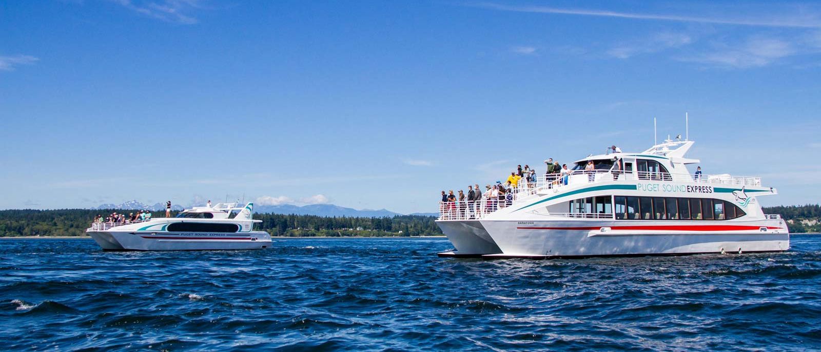 With low fares - and a 98% whale sighting success rate - reserve a seat on one of these comfortable boats for a day of whale watching. You'll never forget the experience.