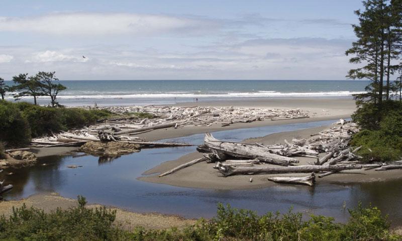 Hoh River meets the Pacific Ocean in Olympic National Park