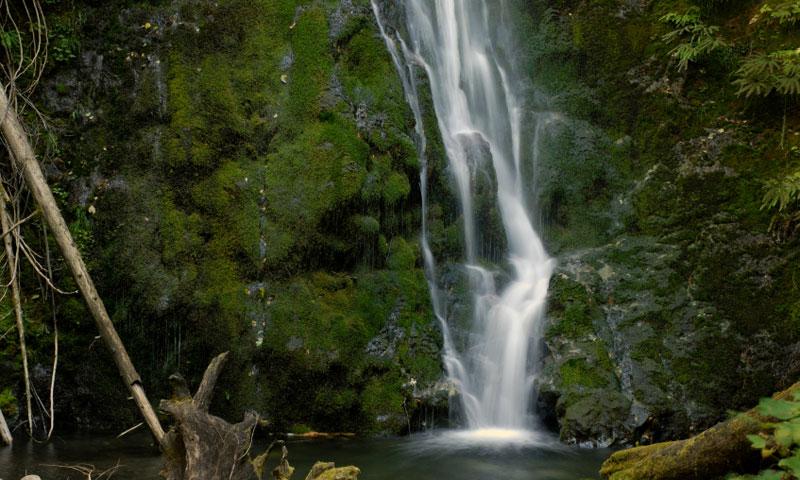 Madison Falls in Olympic National Park