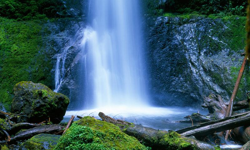 Marymere Falls in Olympic National Park