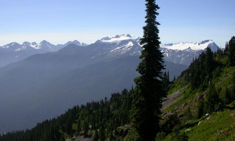 Mount Olympus from Hurricane Ridge in Olympic National Park