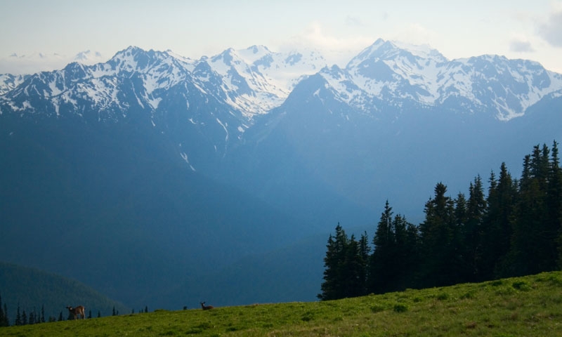 Mount Olympus from Hurricane Ridge in Olympic National Park