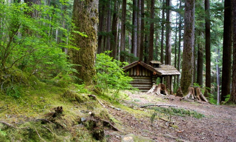 Backcountry Shelter in Olympic National Park
