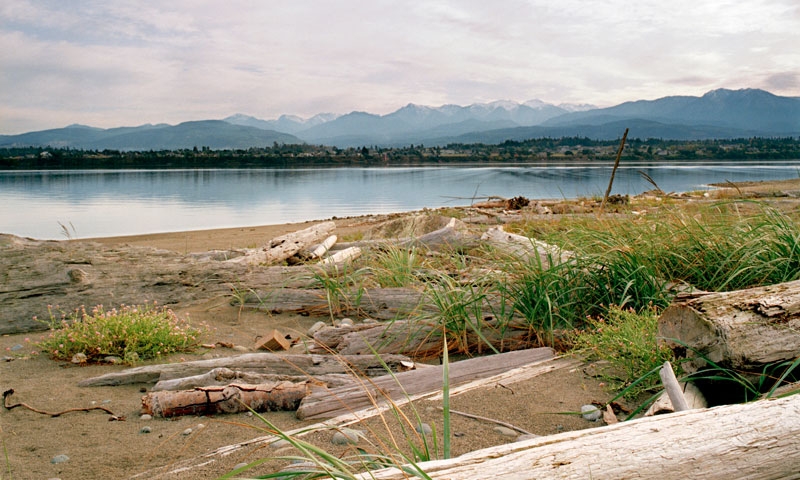 Dungeness Spit in Sequim Washington