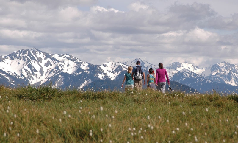 Family hiking in the Olympic Mountains