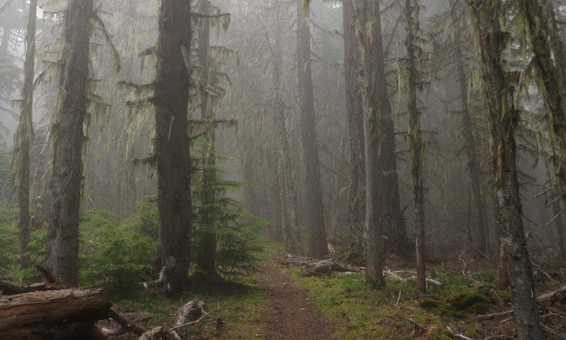 Deer Park Trail in Olympic National Park