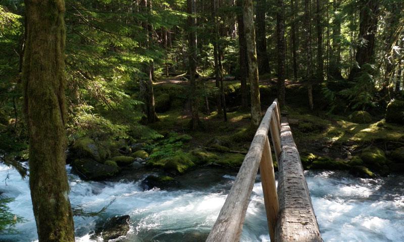 Deer Park Trail over Grey Wolf River