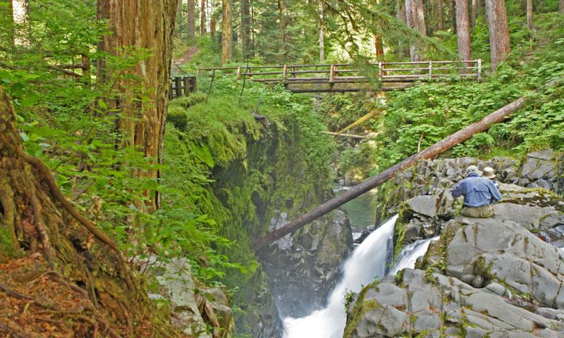Bridge and Trail over Sol Duc Falls