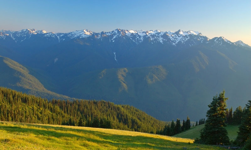 Hurricane Ridge in Olympic National Park