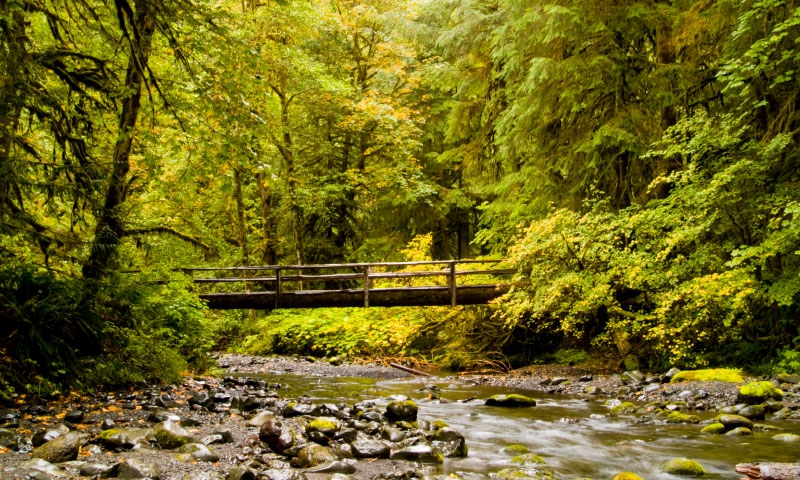 Dungeness River in Olympic National Park