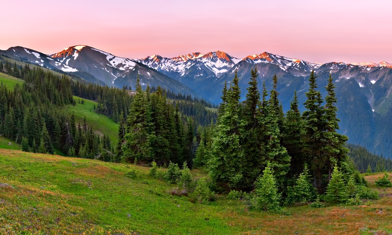Hurricane Ridge Road