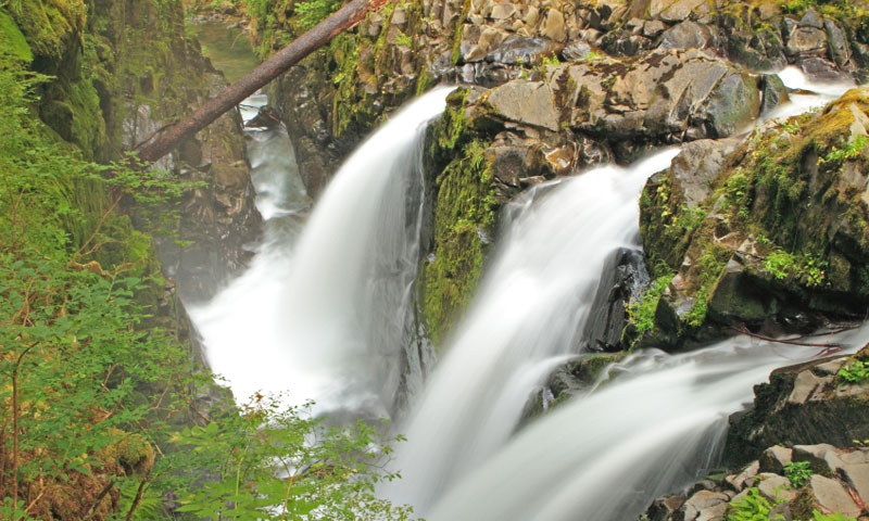 Sol Duc Falls in Olympic National Park