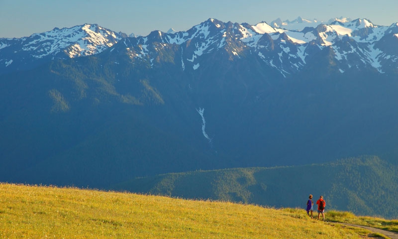 Hiking on Hurricane Ridge in Olympic National Park