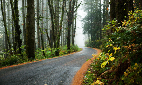 Scenic Drives