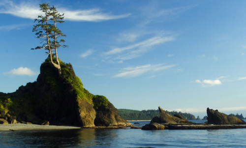 Shi Shi Beach