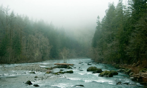 Elwha River
