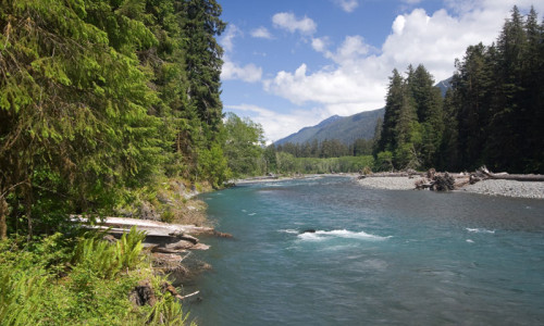 Hoh River