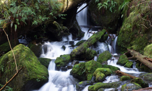 Merriman Falls