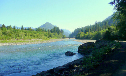 Quinault River