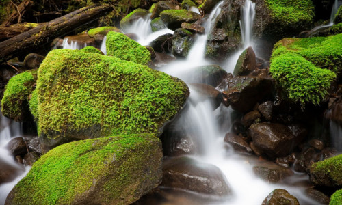 Sol Duc Falls