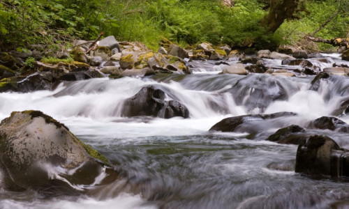 Sol Duc River