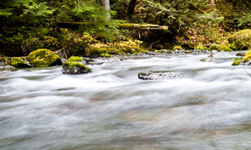 Buckhorn Wilderness