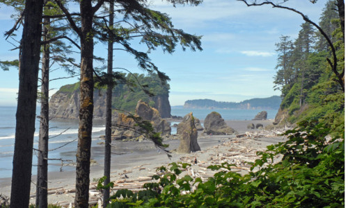 Olympic Coast National Marine Sanctuary