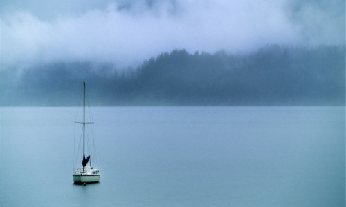 Olympic National Forest