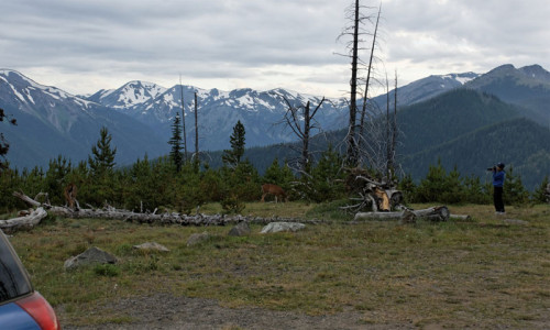 Deer Park Campground