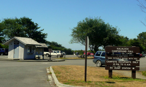 Kalaloch Campground