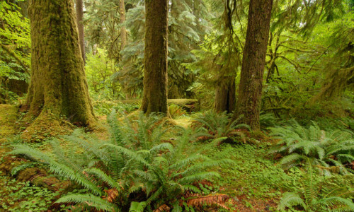 Freshwater Bay County Park