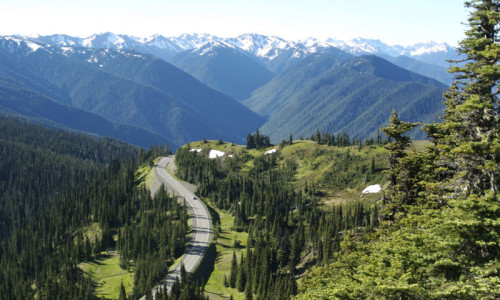 Hurricane Ridge Road