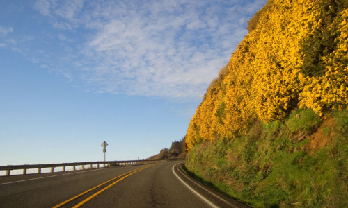 Pacific Coast Scenic Byway