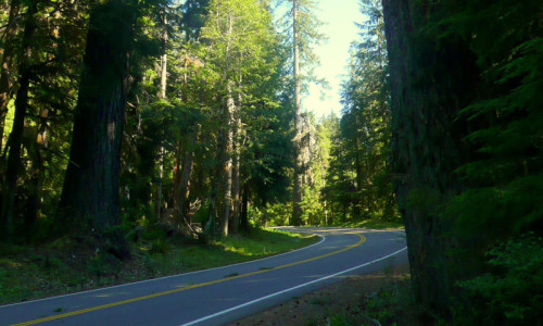 Sol Duc Hot Springs Road