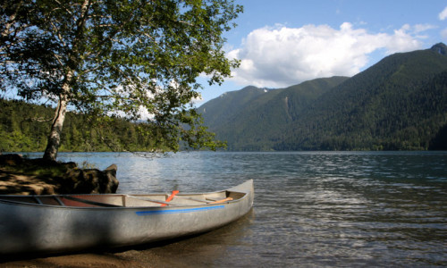 Kayak, Canoe & SUP