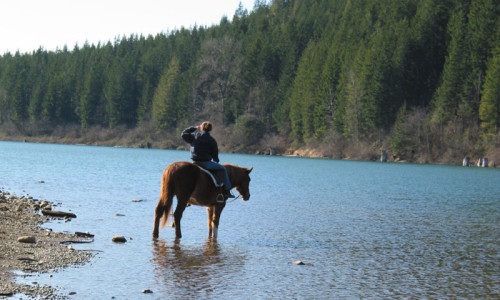Horseback Riding