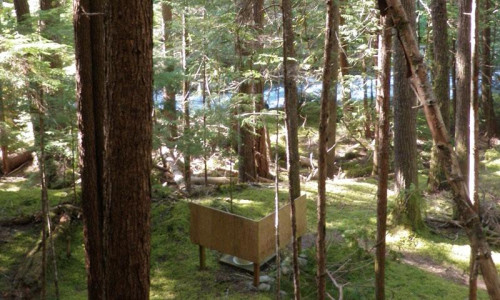 Deer Park Trails