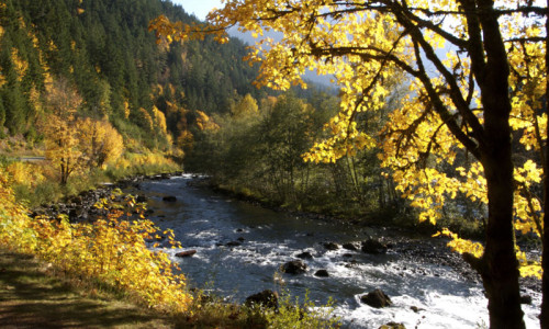 Elwha Trails