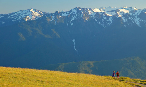 Hurricane Ridge Trails