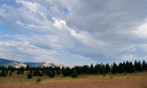 Blue Mountain