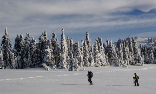 Snowshoeing